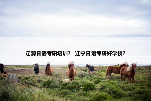辽源日语考研培训？ 辽宁日语考研好学校？