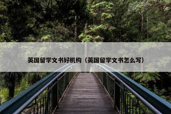 英国留学文书好机构（英国留学文书怎么写）