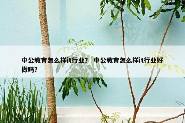 中公教育怎么样it行业？ 中公教育怎么样it行业好做吗？