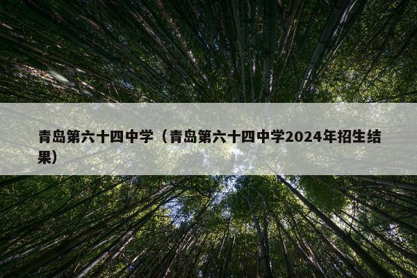 青岛第六十四中学（青岛第六十四中学2024年招生结果）