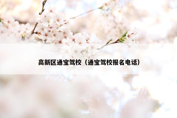 高新区通宝驾校（通宝驾校报名电话）
