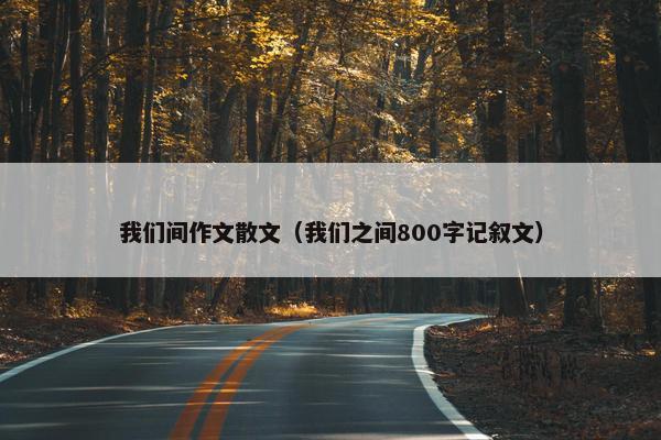 我们间作文散文（我们之间800字记叙文）