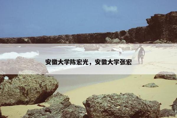 安徽大学陈宏光，安徽大学张宏