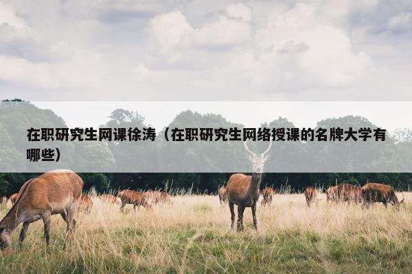 在职研究生网课徐涛（在职研究生网络授课的名牌大学有哪些）
