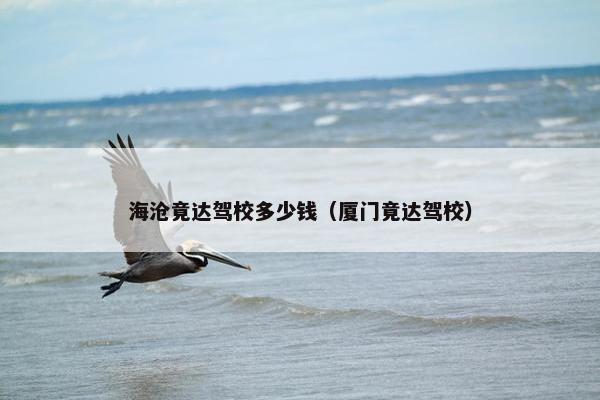 海沧竟达驾校多少钱（厦门竟达驾校）