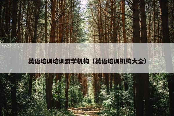英语培训培训游学机构（英语培训机构大全）