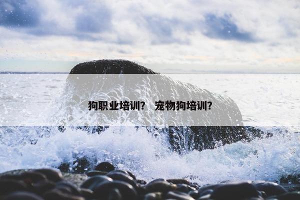 狗职业培训？ 宠物狗培训？