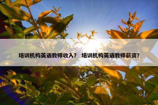 培训机构英语教师收入？ 培训机构英语教师薪资？