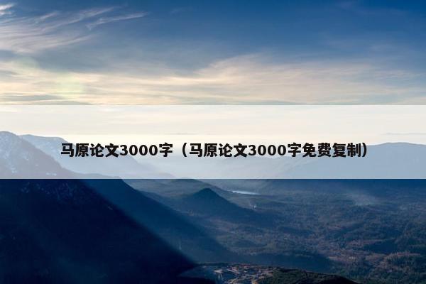 马原论文3000字（马原论文3000字免费复制）
