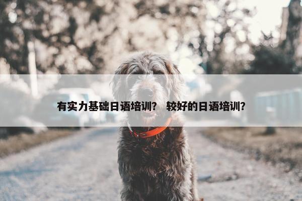 有实力基础日语培训？ 较好的日语培训？