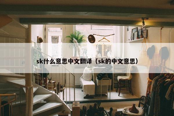 sk什么意思中文翻译（sk的中文意思）