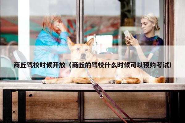 商丘驾校时候开放（商丘的驾校什么时候可以预约考试）