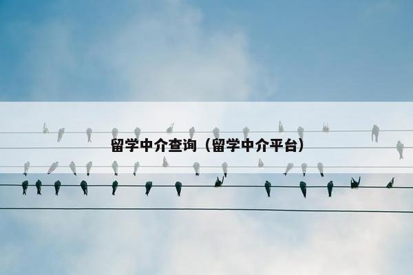 留学中介查询（留学中介平台）