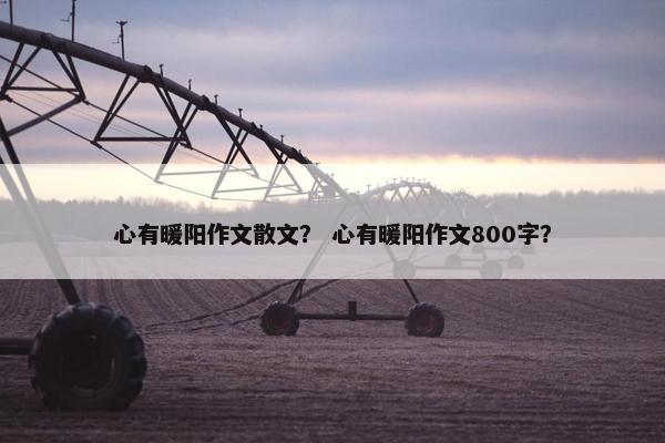 心有暖阳作文散文？ 心有暖阳作文800字？