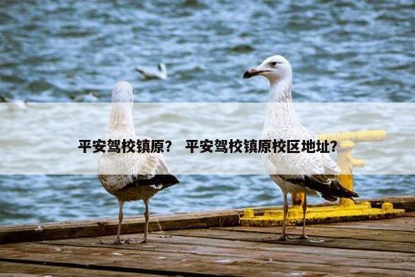 平安驾校镇原？ 平安驾校镇原校区地址？