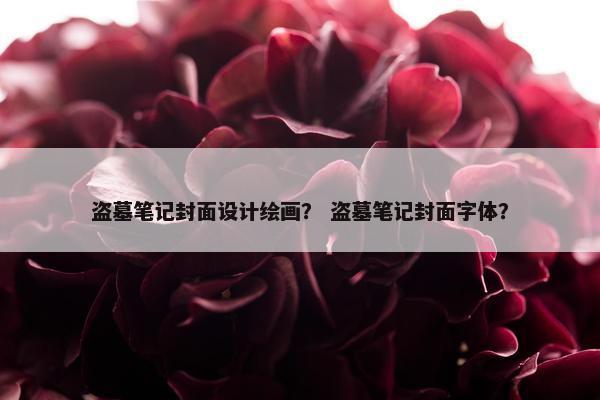 盗墓笔记封面设计绘画？ 盗墓笔记封面字体？