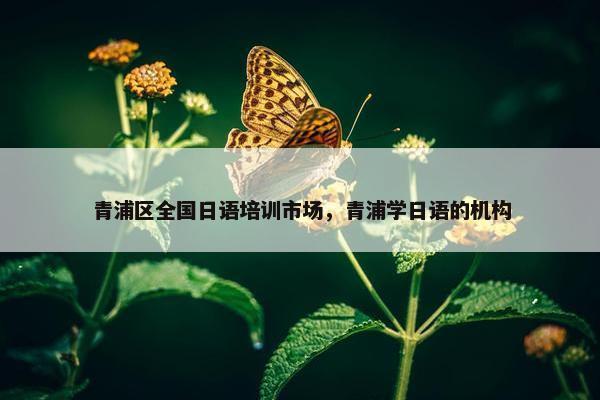 青浦区全国日语培训市场，青浦学日语的机构
