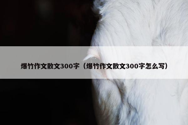爆竹作文散文300字（爆竹作文散文300字怎么写）