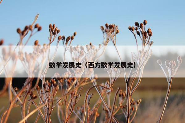 数学发展史（西方数学发展史）