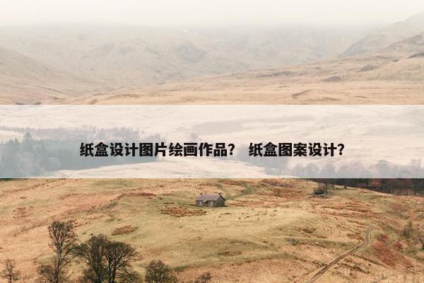 纸盒设计图片绘画作品？ 纸盒图案设计？