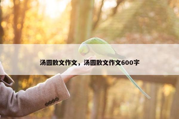 汤圆散文作文，汤圆散文作文600字