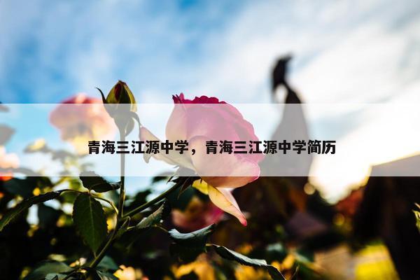 青海三江源中学，青海三江源中学简历