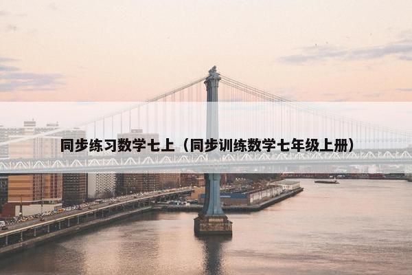 同步练习数学七上（同步训练数学七年级上册）
