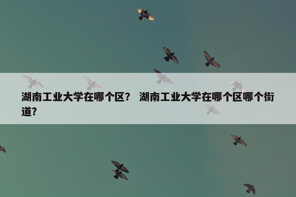 湖南工业大学在哪个区？ 湖南工业大学在哪个区哪个街道？