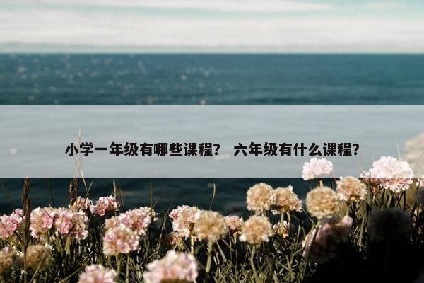小学一年级有哪些课程？ 六年级有什么课程？