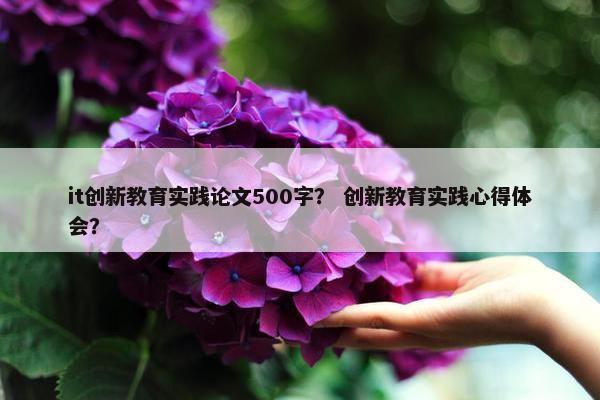 it创新教育实践论文500字？ 创新教育实践心得体会？