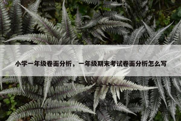 小学一年级卷面分析，一年级期末考试卷面分析怎么写