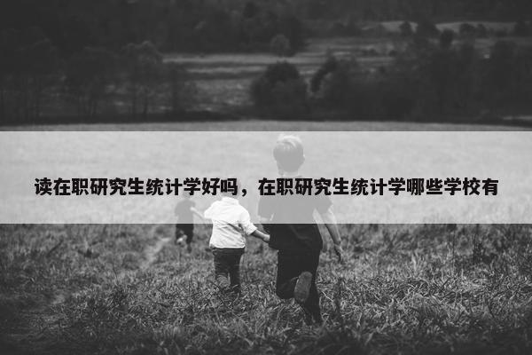 读在职研究生统计学好吗，在职研究生统计学哪些学校有