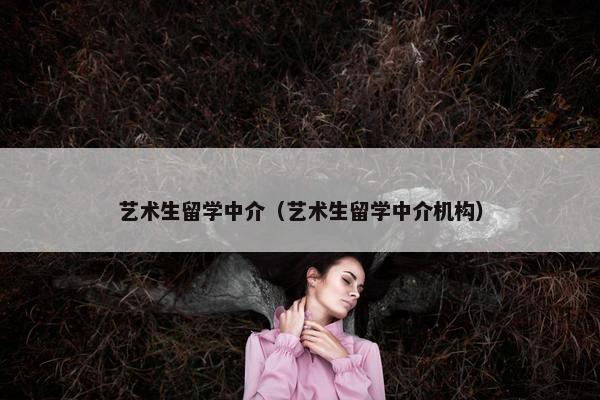 艺术生留学中介（艺术生留学中介机构）