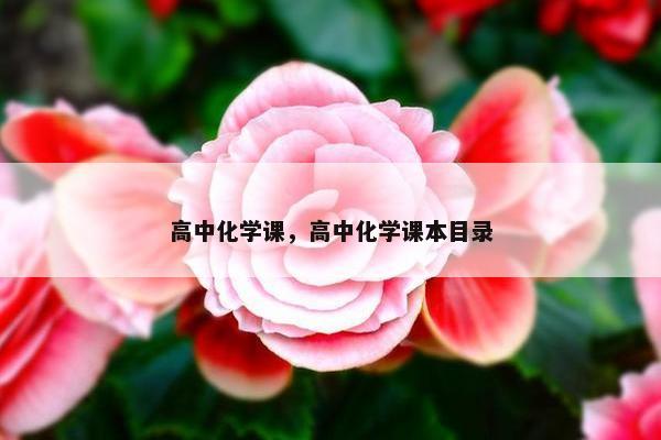 高中化学课，高中化学课本目录
