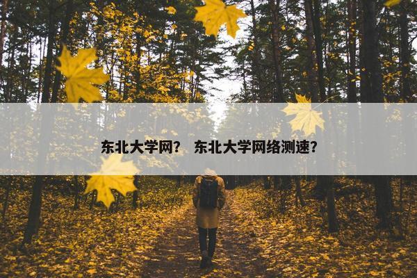 东北大学网？ 东北大学网络测速？