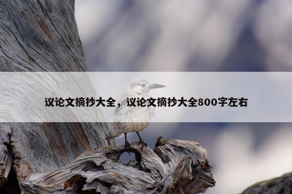 议论文摘抄大全，议论文摘抄大全800字左右