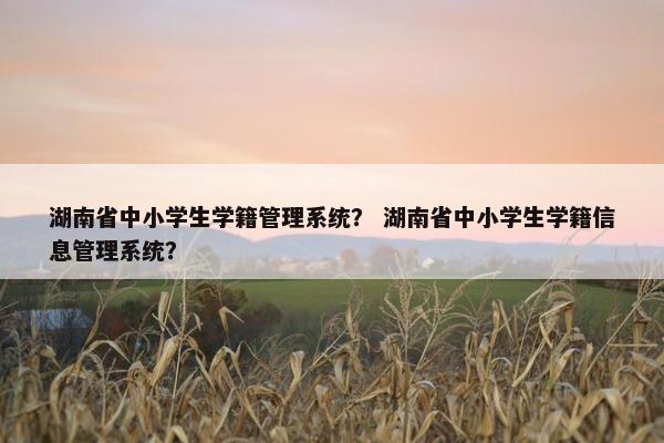湖南省中小学生学籍管理系统？ 湖南省中小学生学籍信息管理系统？
