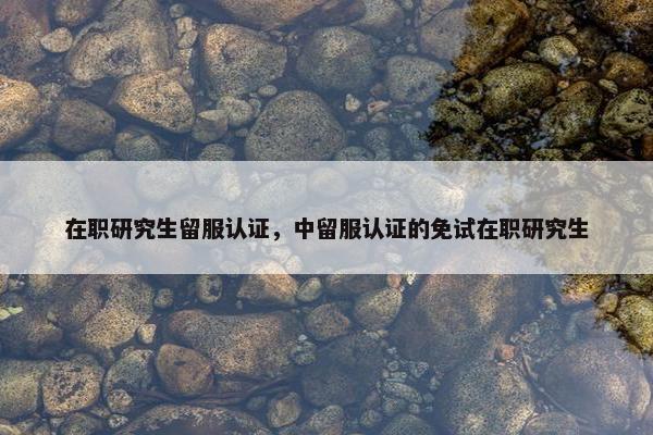 在职研究生留服认证，中留服认证的免试在职研究生