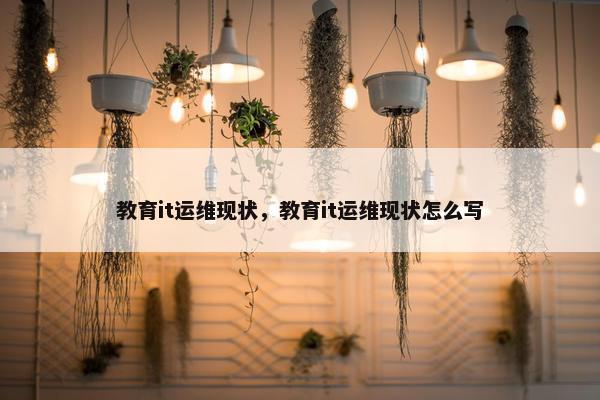教育it运维现状，教育it运维现状怎么写