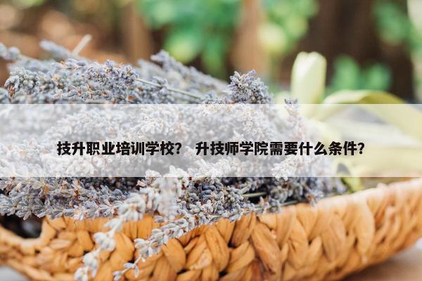 技升职业培训学校？ 升技师学院需要什么条件？