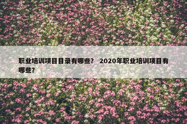 职业培训项目目录有哪些？ 2020年职业培训项目有哪些？