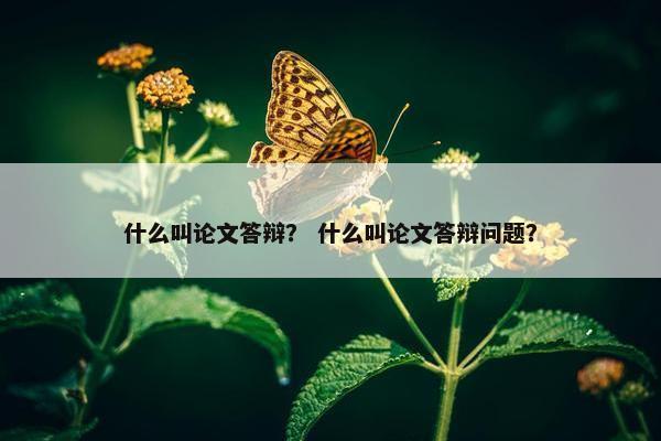 什么叫论文答辩？ 什么叫论文答辩问题？