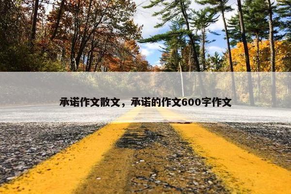 承诺作文散文,承诺的作文600字作文 承诺作文散文,承诺的作文600字作文
