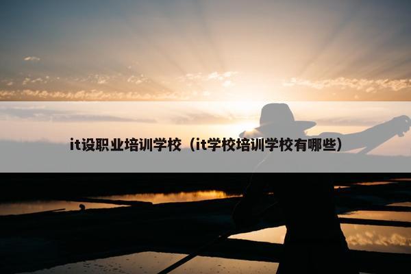 it设职业培训学校（it学校培训学校有哪些）