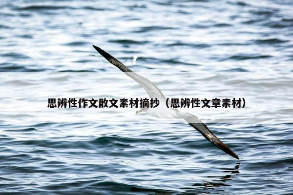 思辨性作文散文素材摘抄（思辨性文章素材）