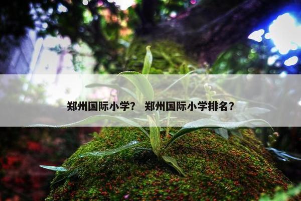 郑州国际小学？ 郑州国际小学排名？