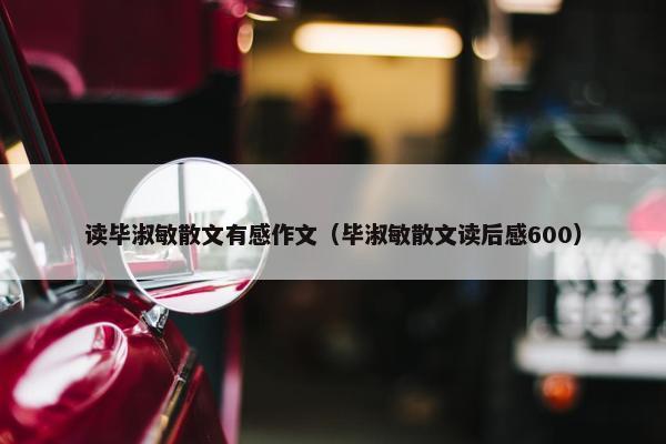 读毕淑敏散文有感作文（毕淑敏散文读后感600）