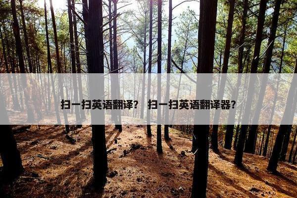 扫一扫英语翻译？ 扫一扫英语翻译器？