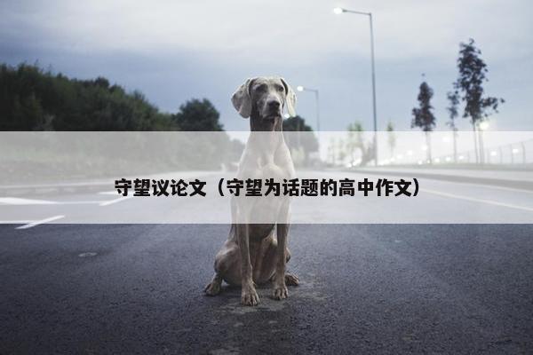 守望议论文（守望为话题的高中作文）