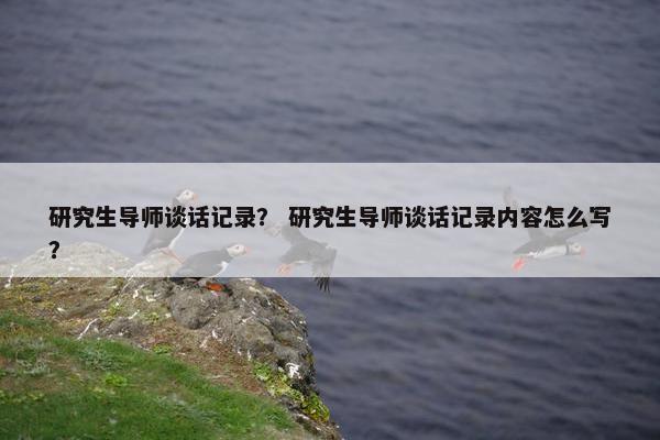 研究生导师谈话记录？ 研究生导师谈话记录内容怎么写？